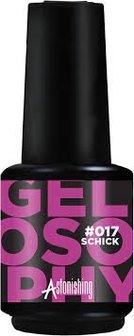 017 schick