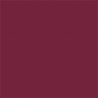 017 schick