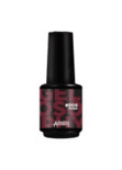 008 posh