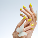 Set art gels.