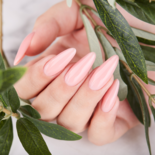 Master opleiding nagelstyliste.