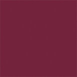 017 schick