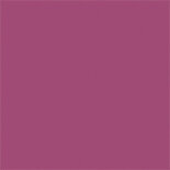053 spring orchid